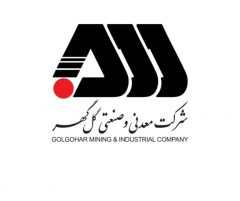 چرا «کگل» برای سهامداران جذاب است؟