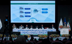 انتفاع سهامداران پتروشیمی از تصمیمات جدید دولت