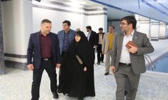 جلسه هم اندیشی قهرمانان و نخبگان ورزشی ساکن منطقه ۵ با رییس کمیته ورزش شورای شهر تهران