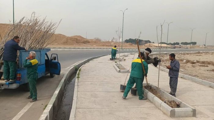 کاشت بیش از ۶۰۰ اصله درخت در عرصه‌های فضای سبز منطقه ۱۹