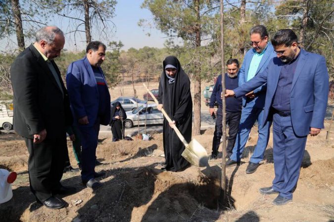 کاشت درخت توسط شهروندان در بوستان چیتگر