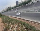 اجرای طرح واکاری فضای سبز دیواره بزرگراه یادگار امام (ره)