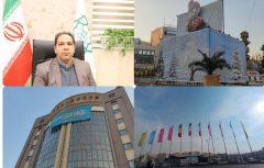 آذین بندی معابر و نصب المان حجمی درمنطقه به مناسبت استقبال از شب یلدا