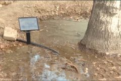 منطقه ۲ تهران به شبکه هوشمند آبیاری مجهز می‌شود