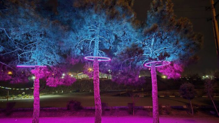 بلوار شاهد شهرک شهید محلاتی نورپردازی شد