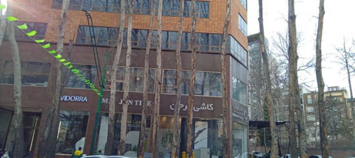 جمع‌آوری درختان خشک خیابان ولیعصر (عج) از امشب آغاز می‌شود