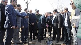 اجرای عملیات درختکاری در بوستان ۲ هکتاری محله علی‌آباد جنوبی