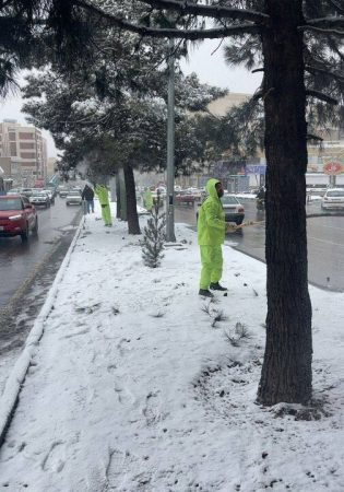 عملیات برف تکانی درختان در منطقه ۴ انجام می‌شود
