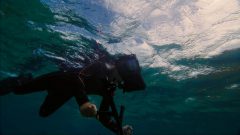 حفاظت از اقیانوس‌ها با فناوری؛ پروژه‌های نوآورانه سامسونگ برای احیای صخره‌های مرجانی