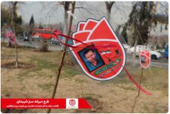 کاشت نهال به یاد شهدای صندوق قرض الحسنه شاهد
