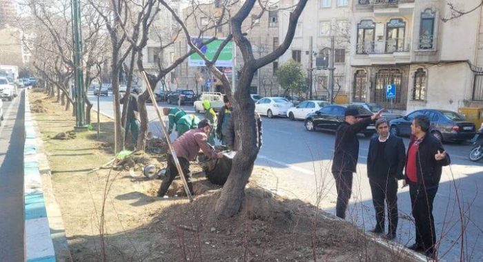 کاشت و توزیع ده هزار اصله نهال در منطقه۱۶ / بوستان بزرگ بهمن میزبان پویش نفس‌های تازه شهر