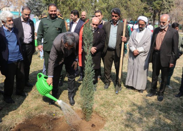 تا پایان طرح بهار خدمت حدود ۸ هزار اصله درخت در این منطقه کاشته می‌شود