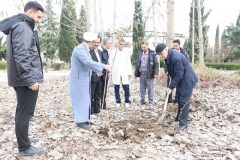 کاشت درخت در هفته منابع طبیعی در شرکت‌های دارویی شستا