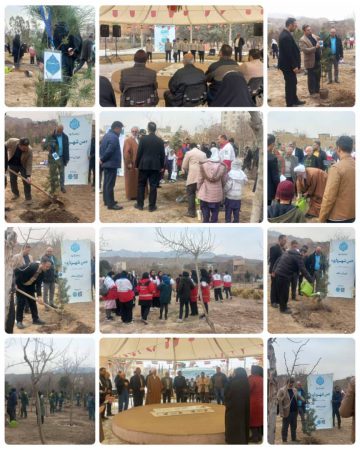 ۲۰۰۰ اصله درخت در منطقه ۲۰ غرس شد