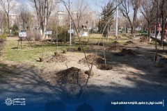 آغاز پویش کاشت ۱۶ هزار نهال در منطقه۸