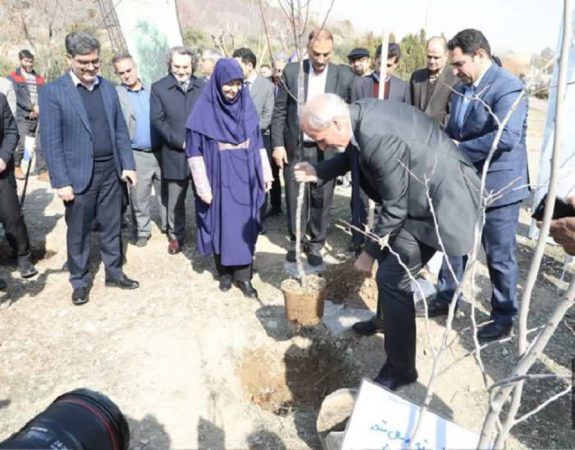 کاشت نهال دوستی توسط سفرای کشورهای خارجی در بوستان  پردیسان