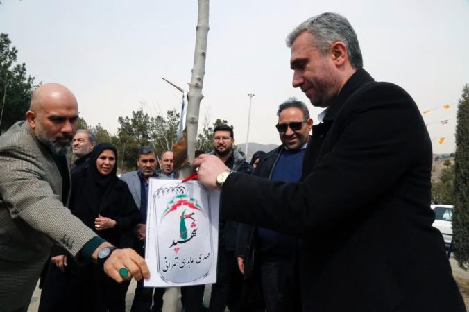 ۲۴ هزار درخت تازه نفس در منطقه ۵ هوایی پاک تر ،شهری سبزتر