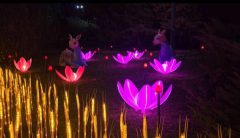 اجرای پارک نوری در بوستان نیاوران؛ جاذبه‌ای جدید برای گردشگران نوروزی