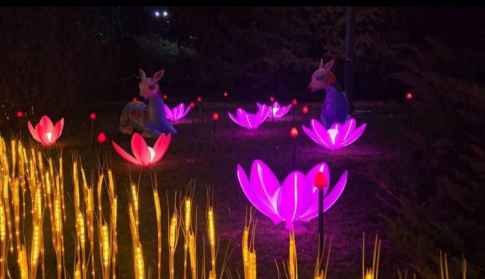 اجرای پارک نوری در بوستان نیاوران؛ جاذبه‌ای جدید برای گردشگران نوروزی