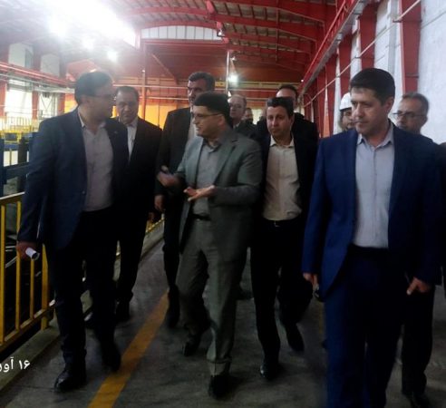 بازدید قائم مقام وزیر صمت در امور بازرگانی از واحدهای صنعتی و تولیدی استان ایلام