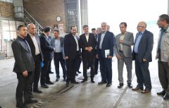 بیمه ایران حامی راهبردی تولید ملی و سرمایه‌گذاری داخلی