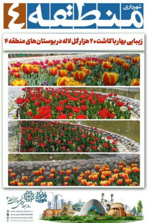 زیبایی بهار با کاشت ۲۰ هزار گل لاله در بوستان‌های منطقه ۴
