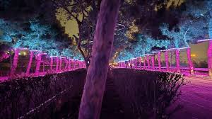 اجرای پروژه های اثربخش عمرانی،ترافیکی و خدمات شهری در محلات ناحیه ده