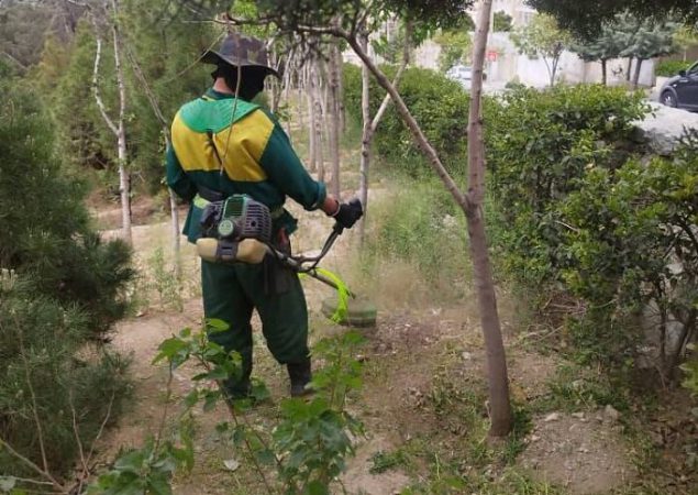 باغات و جنگل‌کاری‌های منطقه ۲ علف تراشی شد