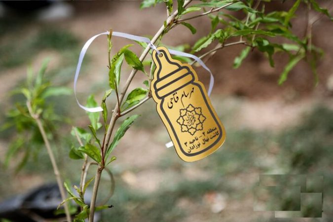 بوستان دوستدار کودک میزبان رویش ۴۵ نهال زندگی