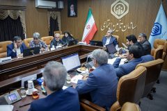 پیش‌نویس شیوه‌نامه ساماندهی بیمه کارگران ساختمانی بررسی شد