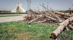 توضیح شهرداری منطقه ۹ تهران درباره قطع درختان میدان آزادی