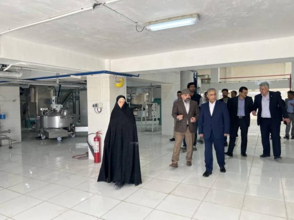 بازگشت”ایلیا ذرت سبز” به چرخه تولید در غرب كشور