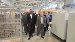 بازدید مشترک مدیرعامل اموال تملیکی ورئیس ستاد مبارزه با قاچاق کالا از منطقه ویژه اقتصادی پیام