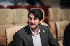 ۱۰۰اصله درخت چنار جایگزین درختان خشک خیابان ولیعصر شد