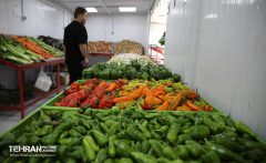 تحول و نوسازی بازارهای روز محلات منطقه یک و احداث دو بازار جدید