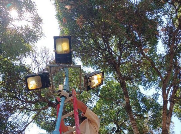 رفع نواقص روشنایی بوستان‌های منطقه ۲۰