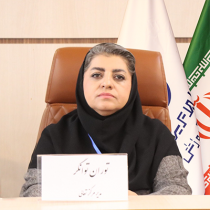 هدف اصلی جایزه ملی تعالی، تدوین برنامه های بهبود و ارتقای کارایی سازمان هاست