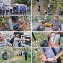 برگزاری طرح ساماندهی آسیب های اجتماعی در منطقه ۳