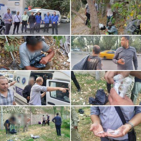 برگزاری طرح ساماندهی آسیب های اجتماعی در منطقه ۳