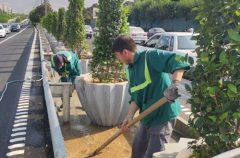 بزرگراه شهید چمران با نصب گلدان‌های شهری آراسته شد