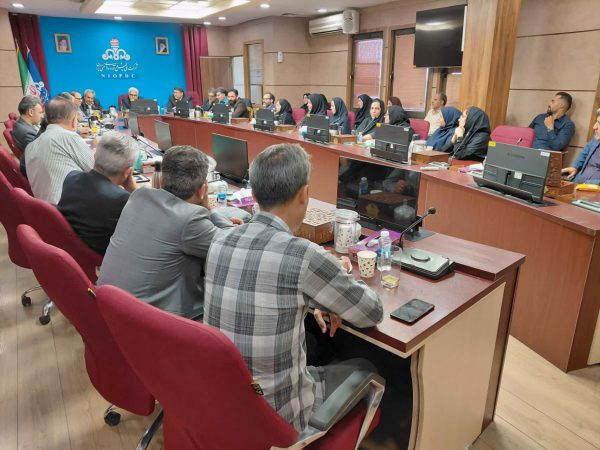 تاکید بر چابک‌سازی طرح‌ها و پروژه‌ها، بهبود فرآیندها در اجرای قراردادها و کاهش واردات