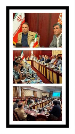 تاکید مدیرعامل شرکت ملی مس بر پایداری تولید و تسریع در اجرای پروژه‌های توسعه‌ای