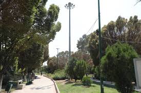 اصلاح روشنایی و بازپیرایی بوستان های منطقه ۱۹ در قالب طرح مشارکتی «من شهردارم»