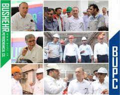 اعلام آمادگی شرکت شستان جهت تسریع فرایندها در راه اندازی فاز دوم پتروشیمی بوشهر / نقش کلیدی پتروشیمی بوشهر در تحقق اهداف توسعه ای