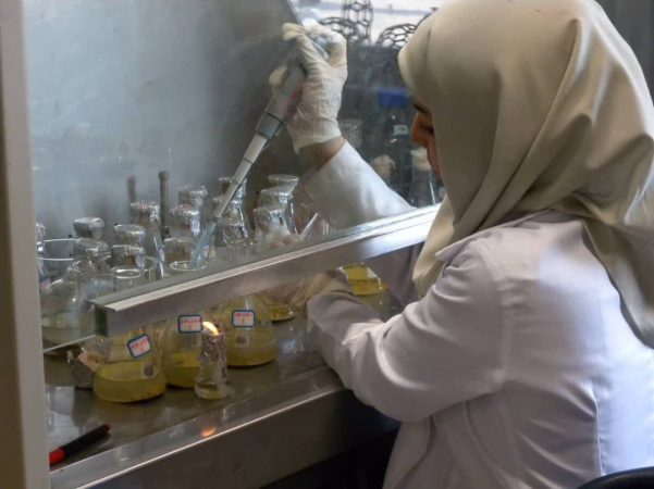 در پژوهشی مشترک بین مرکز پژوهش‌های کاربردی سازمان زمین‌شناسی و اکتشافات معدنی کشور و دانشگاه تهران ارائه شد: راه‌حلی سبز برای بازیابی لیتیم استراتژیک از پسماندهای صنعتی