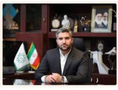 نقش رنگ بر پل‌های عابر پیاده منطقه۹