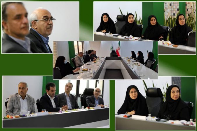 نشست مشترک پژوهشکده بیمه و مرکز ملی تحقیقات بیمه سلامت با محوریت گسترش همکاری‌های راهبردی در حوزه پیشگیری، ارتقای سلامت جامعه و کاهش بار هزینه‌های درمان بر اقتصاد ملی