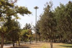 نصب پرژکتورهای روشنایی بوستان‌های منطقه ۱۹ به ۱۲۰۰ عدد رسید