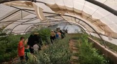 برگزاری پویش «شهر سبز» در منطقه ۲۰