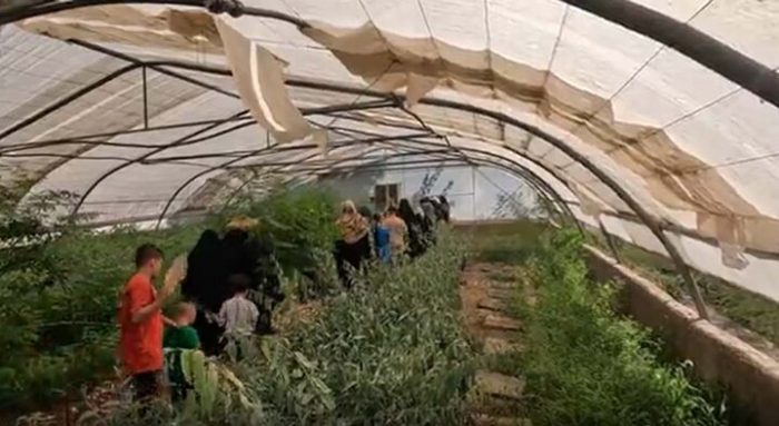 برگزاری پویش «شهر سبز» در منطقه ۲۰